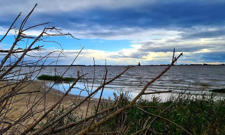 Strandfloh Bielenberg